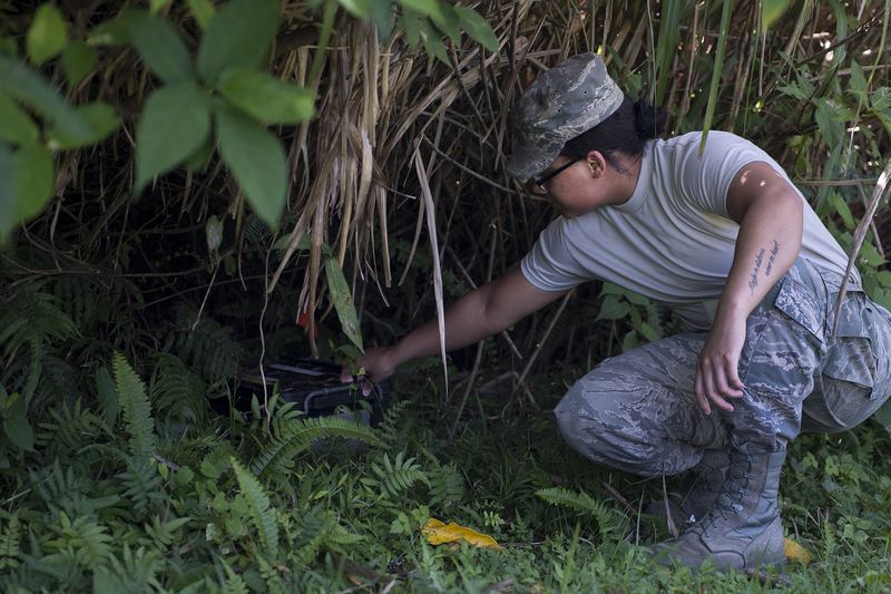 U.S. Air Force Airman 1st Class Adrianna Washington, 18th Civil Engineer Squadron pest management specialist, checks a h