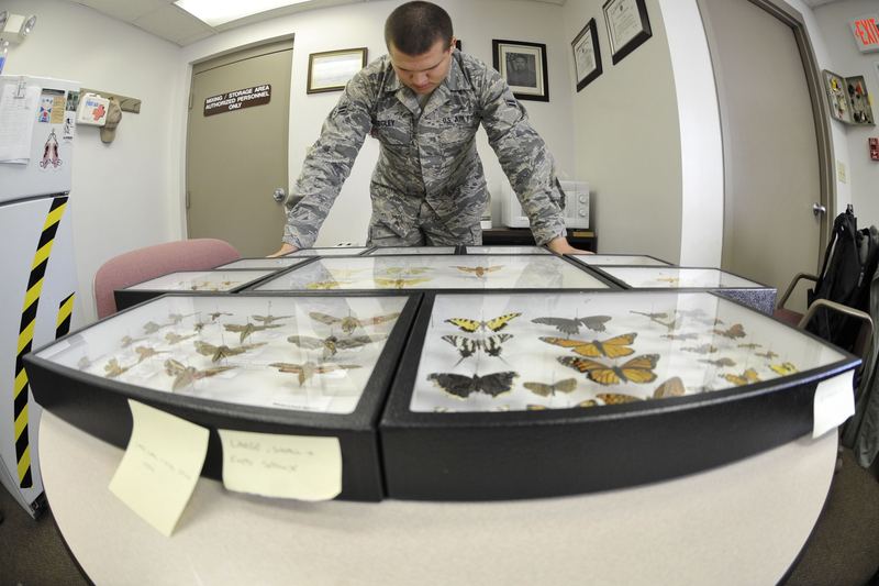 U.S. Air Force Airman 1st Class Zachary Kegley, a pest management apprentice with the 509th Civil Engineer Squadron, loo